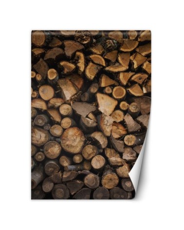 Wall murals - Wood | FEEBY