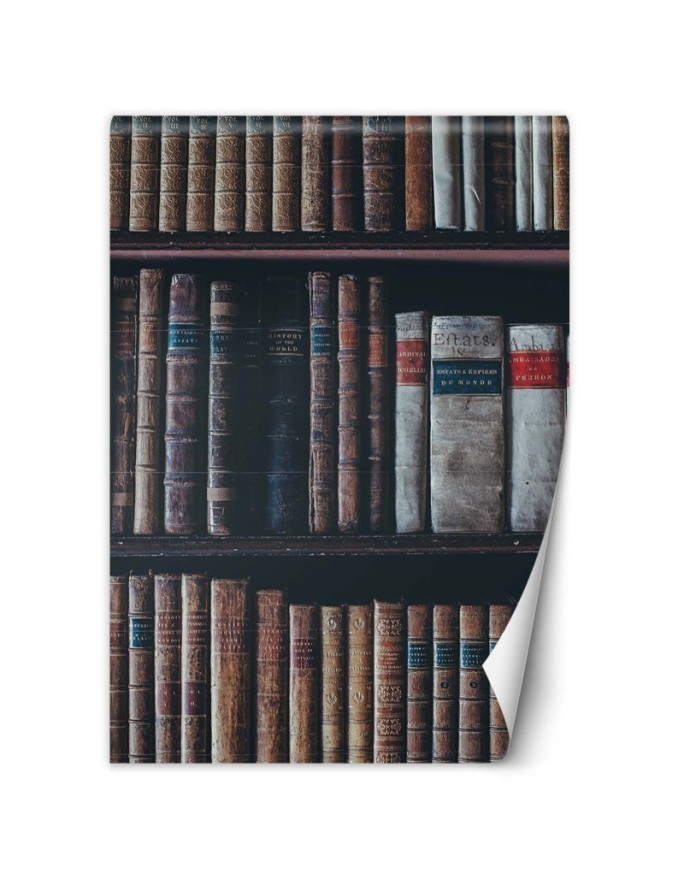 Inspirujące fototapety dla domu - Biblioteka książki | FEEBY