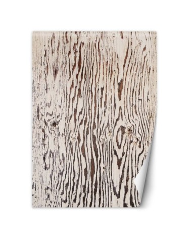 Living room wall mural - Wood macro nature | FEEBY