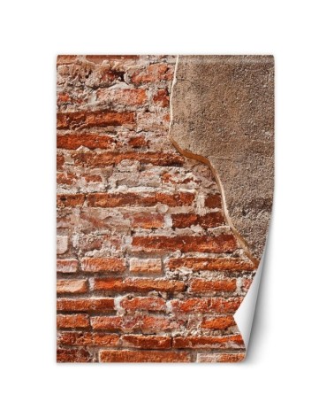 Texture wall murals - Red old brick wall | FEEBY