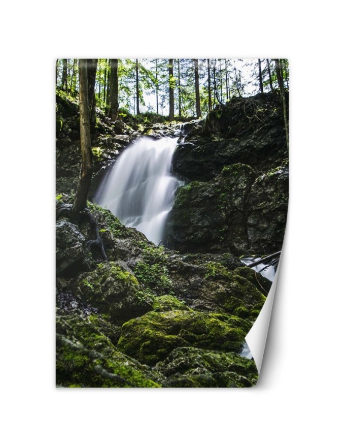 Nowoczesne fototapety na ścianę - Wodospad w lesie | FEEBY