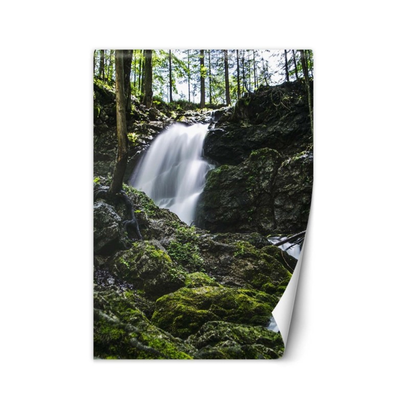 Nowoczesne fototapety na ścianę - Wodospad w lesie | FEEBY