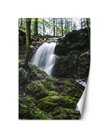 Nowoczesne fototapety na ścianę - Wodospad w lesie | FEEBY