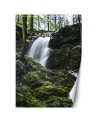 Modern Wallpapers - Waterfall in the forest | FEEBY