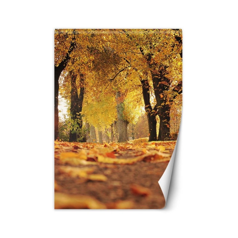 Fototapety flizelinowe na ścianę - Złota jesień w parku | FEEBY