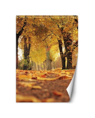 Fleece Wallpapers - Golden autumn in the park | FEEBY
