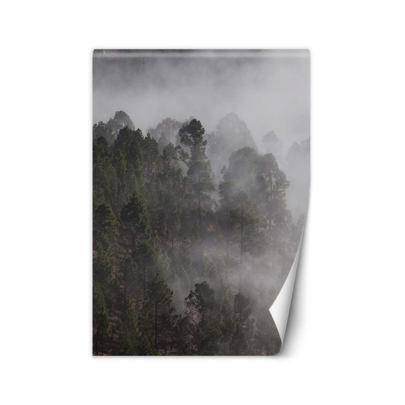 Inspirujące fototapety - Zielony las we mgle | FEEBY