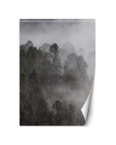 Inspirational Wallpapers - Green forest in the fog | FEEBY