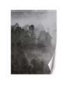 Inspirujące fototapety - Zielony las we mgle | FEEBY