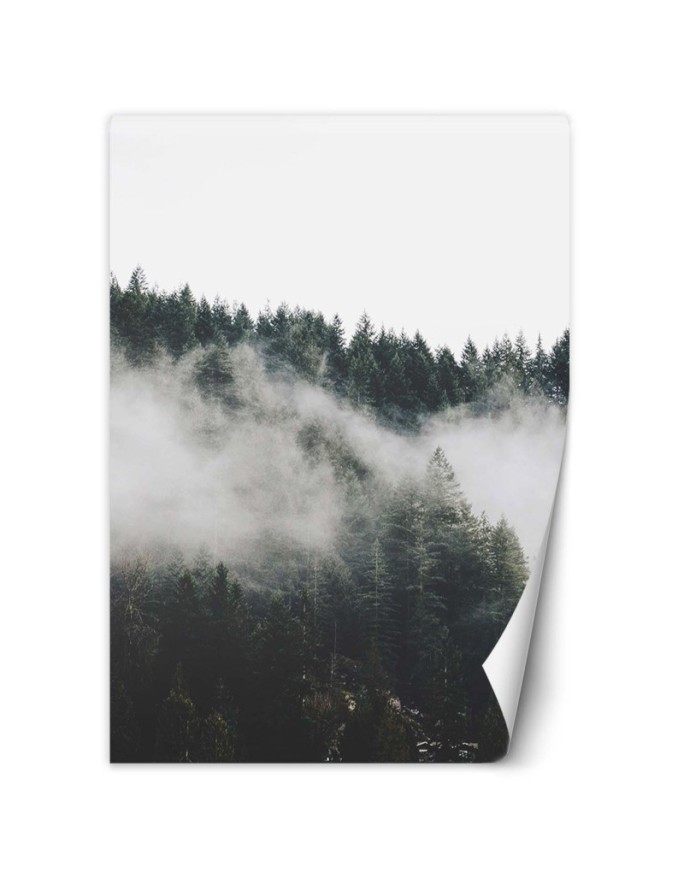 Stylowe fototapety na ścianę - Las we mgle w górach | FEEBY