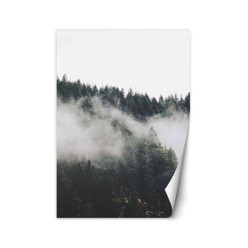 Stylowe fototapety na ścianę - Las we mgle w górach | FEEBY