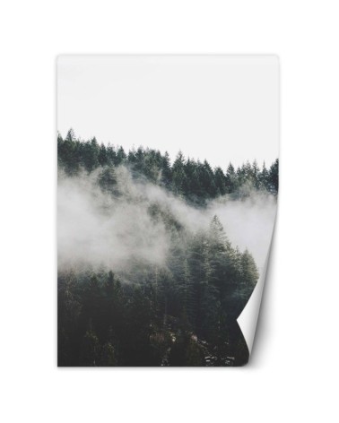 Stylowe fototapety na ścianę - Las we mgle w górach | FEEBY