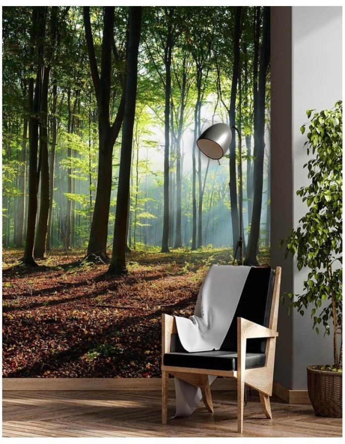 Fototapeta - Las zielony wschód słońca natura | FEEBY