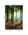 Fototapeta - Las zielony wschód słońca natura | FEEBY