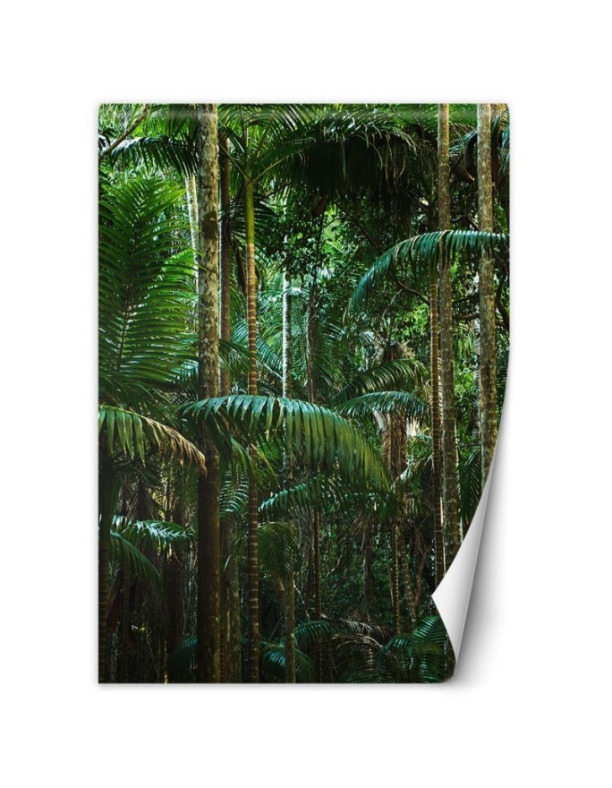 Stylowe fototapety na ścianę - Tropikalny las natura | FEEBY