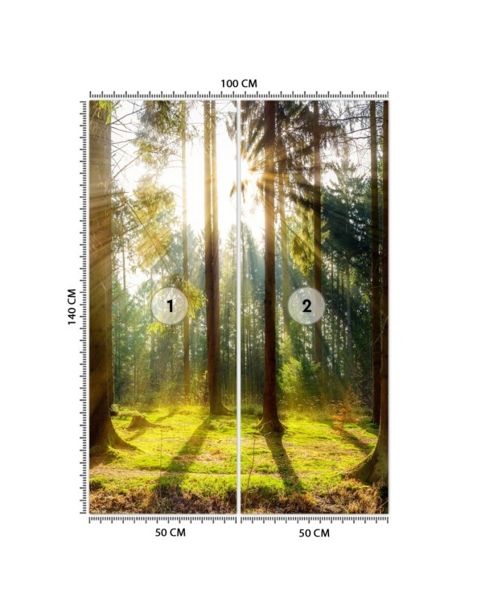 Nowoczesne fototapety - Las poranne promienie słońca | FEEBY