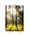 Nowoczesne fototapety - Las poranne promienie słońca | FEEBY