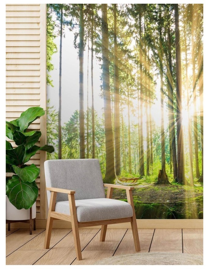 Modern wall mural - Forest sunshine | FEEBY