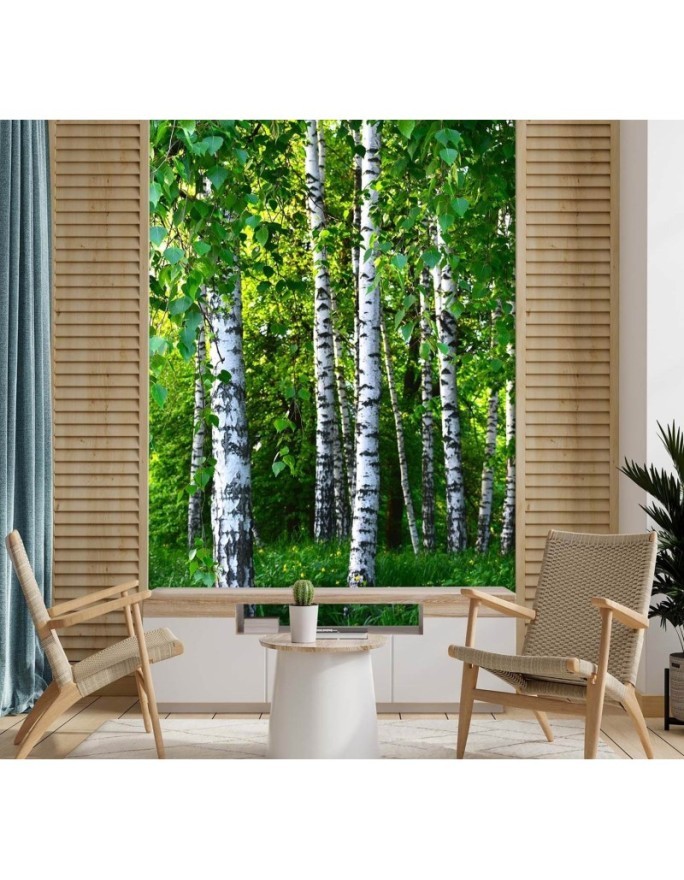 Fototapeta flizelinowa na ścianę - Brzozowy las | FEEBY