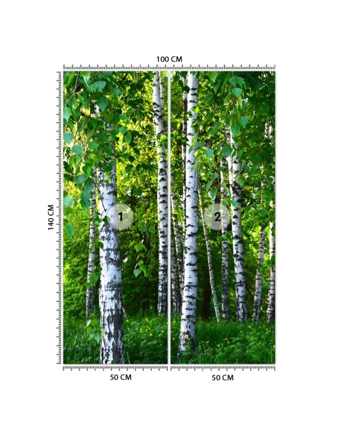 Fleece wall mural - Birch forest | FEEBY
