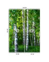 Fleece wall mural - Birch forest | FEEBY
