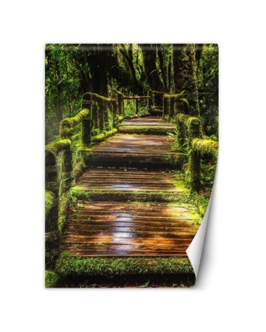 Landscape wall murals - Bridge in a green forest | FEEBY