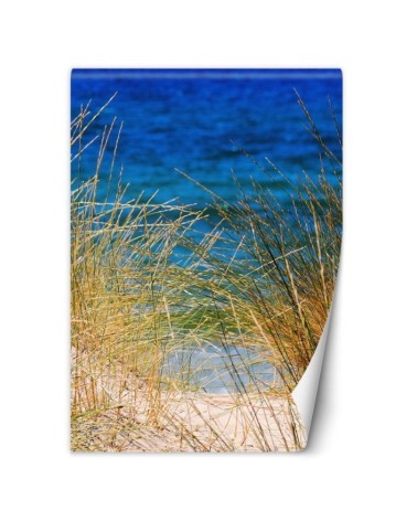 The most fashionable Wallpapers - Tall grasses by the sea | FEEBY