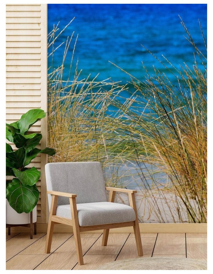 The most fashionable Wallpapers - Tall grasses by the sea | FEEBY