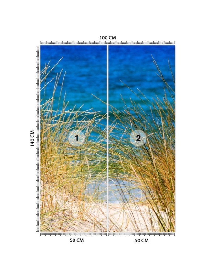 Najmodniejsze fototapety - Wysokie trawy nad morzem | FEEBY
