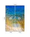 Najmodniejsze fototapety - Wysokie trawy nad morzem | FEEBY