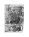 Nowoczesne fototapety - Szara tekstura beton | FEEBY