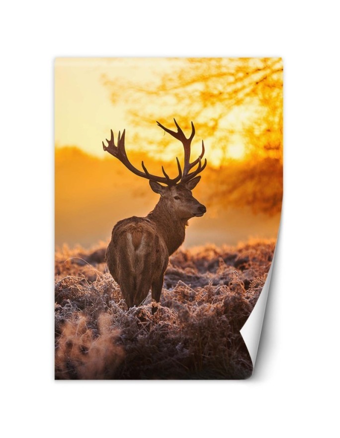 Unique Wallpapers - Deer at sunset | FEEBY