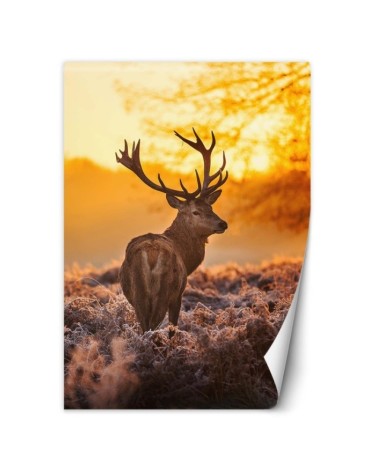 Unique Wallpapers - Deer at sunset | FEEBY