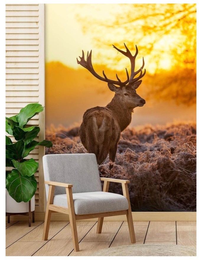 Unikalne fototapety - Jeleń o zachodzie słońca | FEEBY
