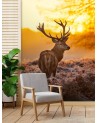 Unikalne fototapety - Jeleń o zachodzie słońca | FEEBY