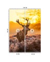 Unikalne fototapety - Jeleń o zachodzie słońca | FEEBY
