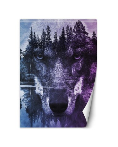 The most fashionable Wallpapers - Wolf in the forest | FEEBY