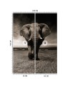 Najmodniejsze fototapety do salonu - Słoń afrykański natura | FEEBY