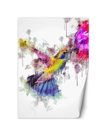 Wall mural for a girl's room - Colourful hummingbird Cornel Vlad | FEEBY