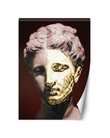 Exclusive wall mural - Head of Gab Fernando | FEEBY
