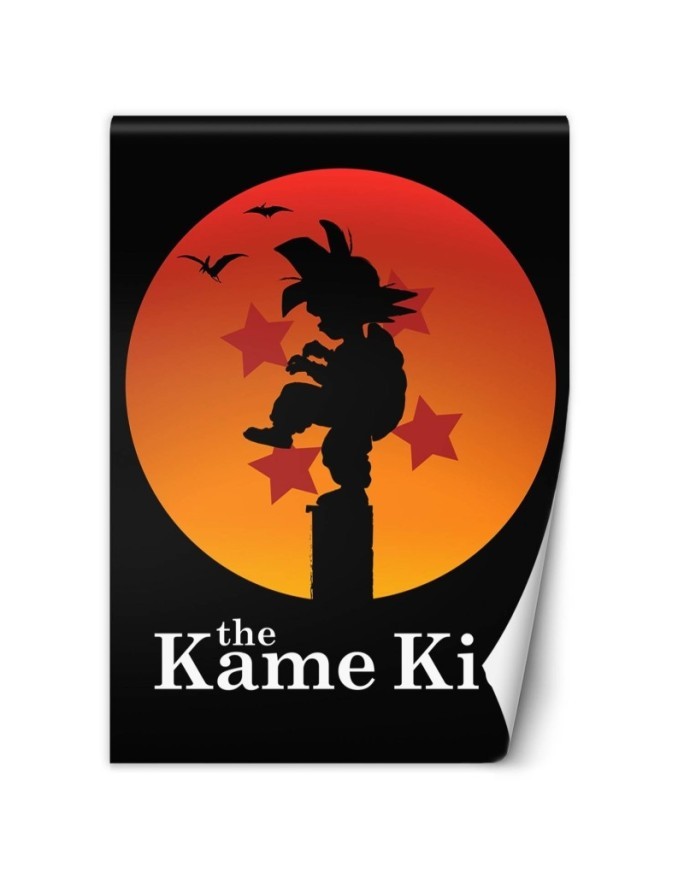 Teenage Wallpaper - The Kame Kid Dr.Monekers | FEEBY