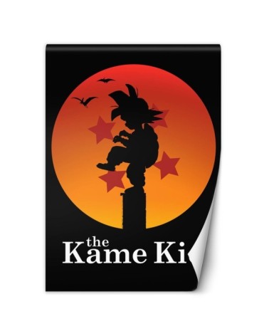 Teenage Wallpaper - The Kame Kid Dr.Monekers | FEEBY