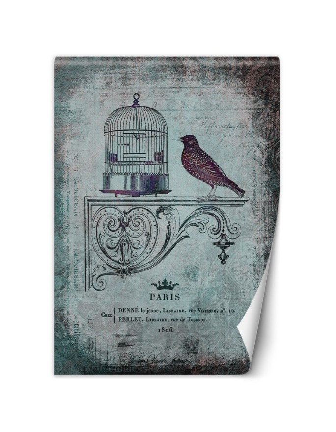 Designer wall mural - Abstract bird animals nature Andrea Haase | FEEBY