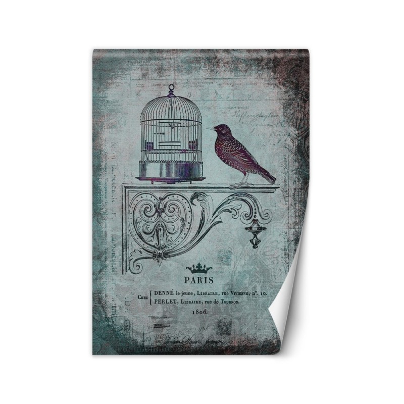 Designerskie fototapety - Abstrakcja ptak zwierzęta natura Andrea Haase | FEEBY