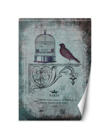Designerskie fototapety - Abstrakcja ptak zwierzęta natura Andrea Haase | FEEBY