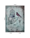 Designerskie fototapety - Abstrakcja ptak zwierzęta natura Andrea Haase | FEEBY