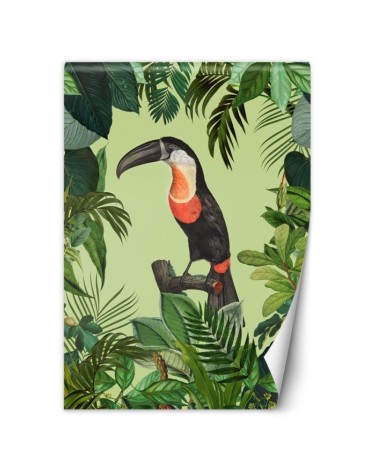 Original Wallpaper - Parrot on green background Andrea Haase | FEEBY