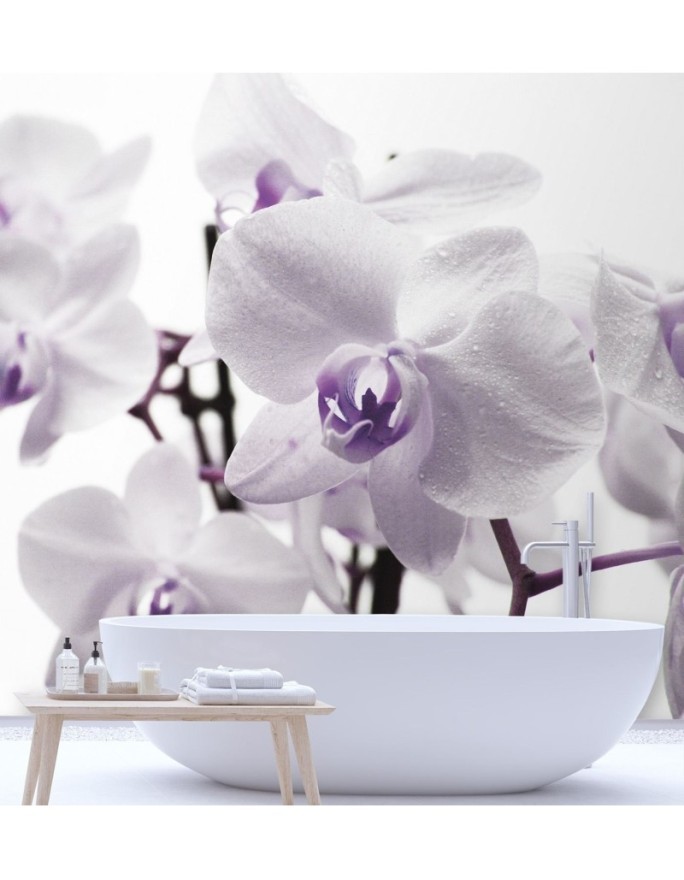 Wallpaper - Purple orchid with dew on petals | FEEBY