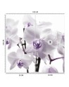 Wallpaper - Purple orchid with dew on petals | FEEBY