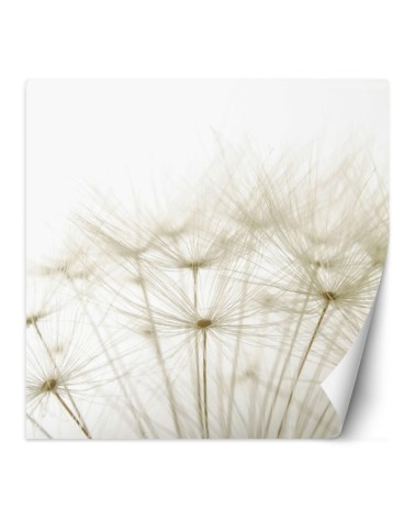 Stylish Wallpaper - Puffer plants in white | FEEBY